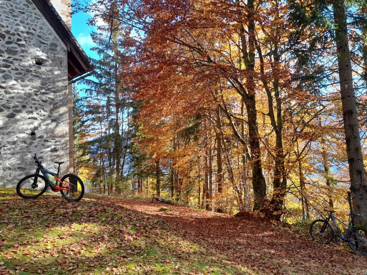 Zitas Ferienwohnung Reisach Exteriér fotografie